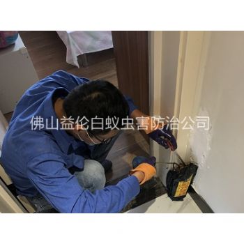 里水住宅白蚁防治工程