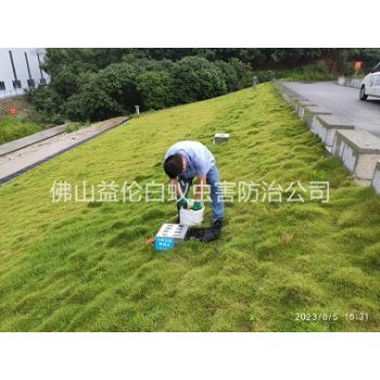 沙头水利堤坝鼠害防控工程