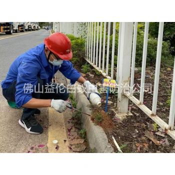 狮山红火蚁防治工程