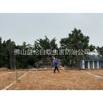 西樵新建地基预防白蚁工程
